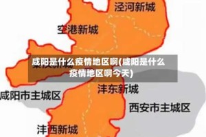 咸阳是什么疫情地区啊(咸阳是什么疫情地区啊今天)