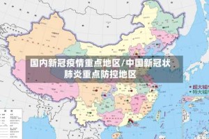 国内新冠疫情重点地区/中国新冠状肺炎重点防控地区