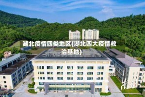 湖北疫情四类地区(湖北四大疫情救治基地)
