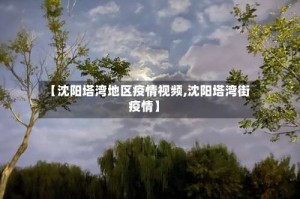 【沈阳塔湾地区疫情视频,沈阳塔湾街疫情】