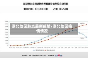湖北地区肺炎最新疫情/湖北地区疫情情况