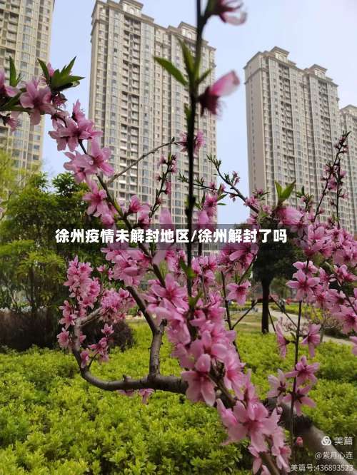 徐州疫情未解封地区/徐州解封了吗-第1张图片