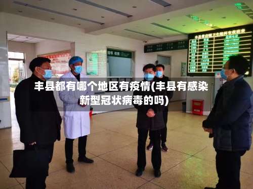 丰县都有哪个地区有疫情(丰县有感染新型冠状病毒的吗)-第2张图片