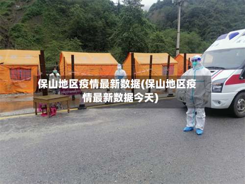 保山地区疫情最新数据(保山地区疫情最新数据今天)-第2张图片