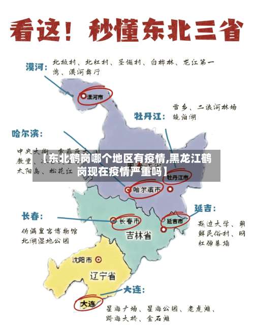 【东北鹤岗哪个地区有疫情,黑龙江鹤岗现在疫情严重吗】-第2张图片